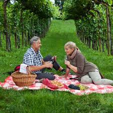 A TRIP TO THE COUNTRYSIDE  (READ)